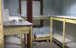    Скриншот с видео МВД РФ Святослав Лавренко