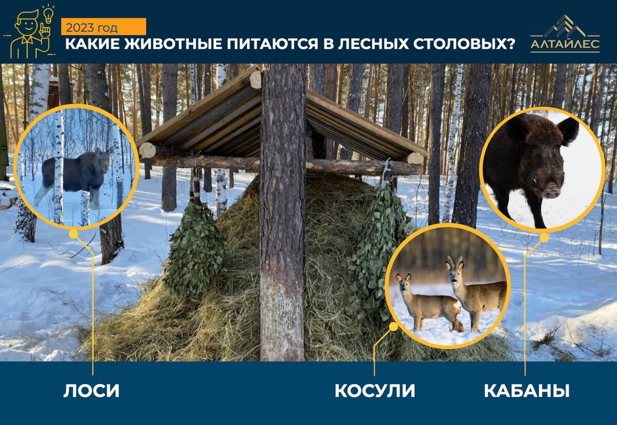 Инфографика