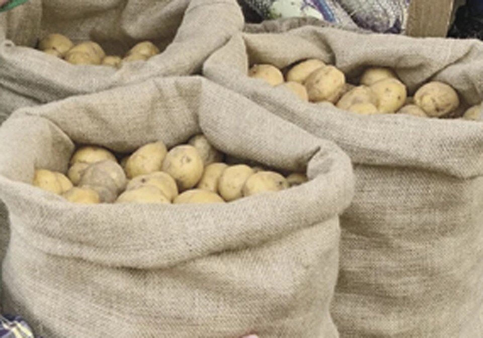     Своя продукция всегда вкуснее. Елена АРАКЕЛЯН