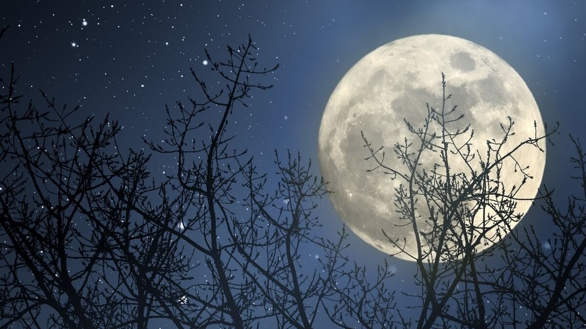 Луна в марте 24г. Суперлуние 2023. Полнолуние. Лунная ночь. Полнолуние зима.