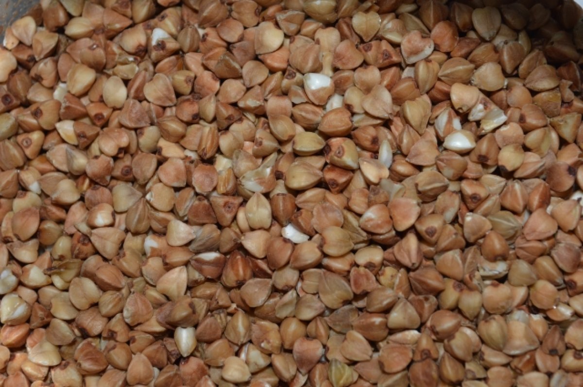    Предприниматели из Новосибирска собрали гуманитарную помощь для Сирии