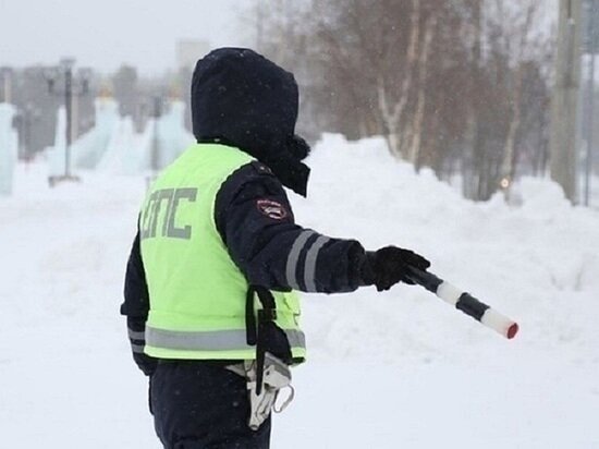     Фото: ГИБДД ЯНАО