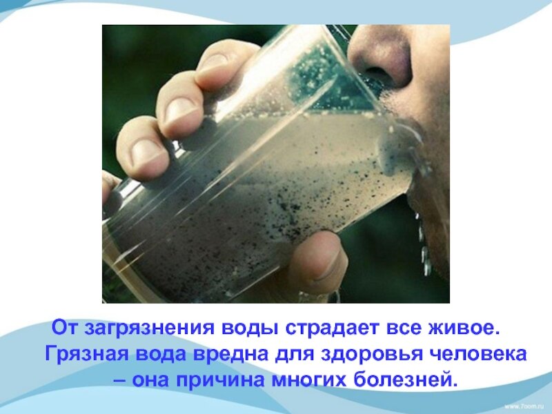 Канализационные стоки