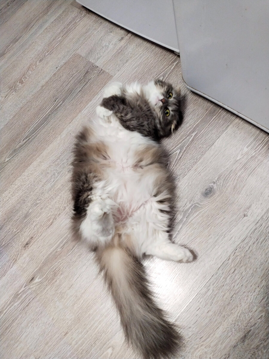 А так и не скажешь!