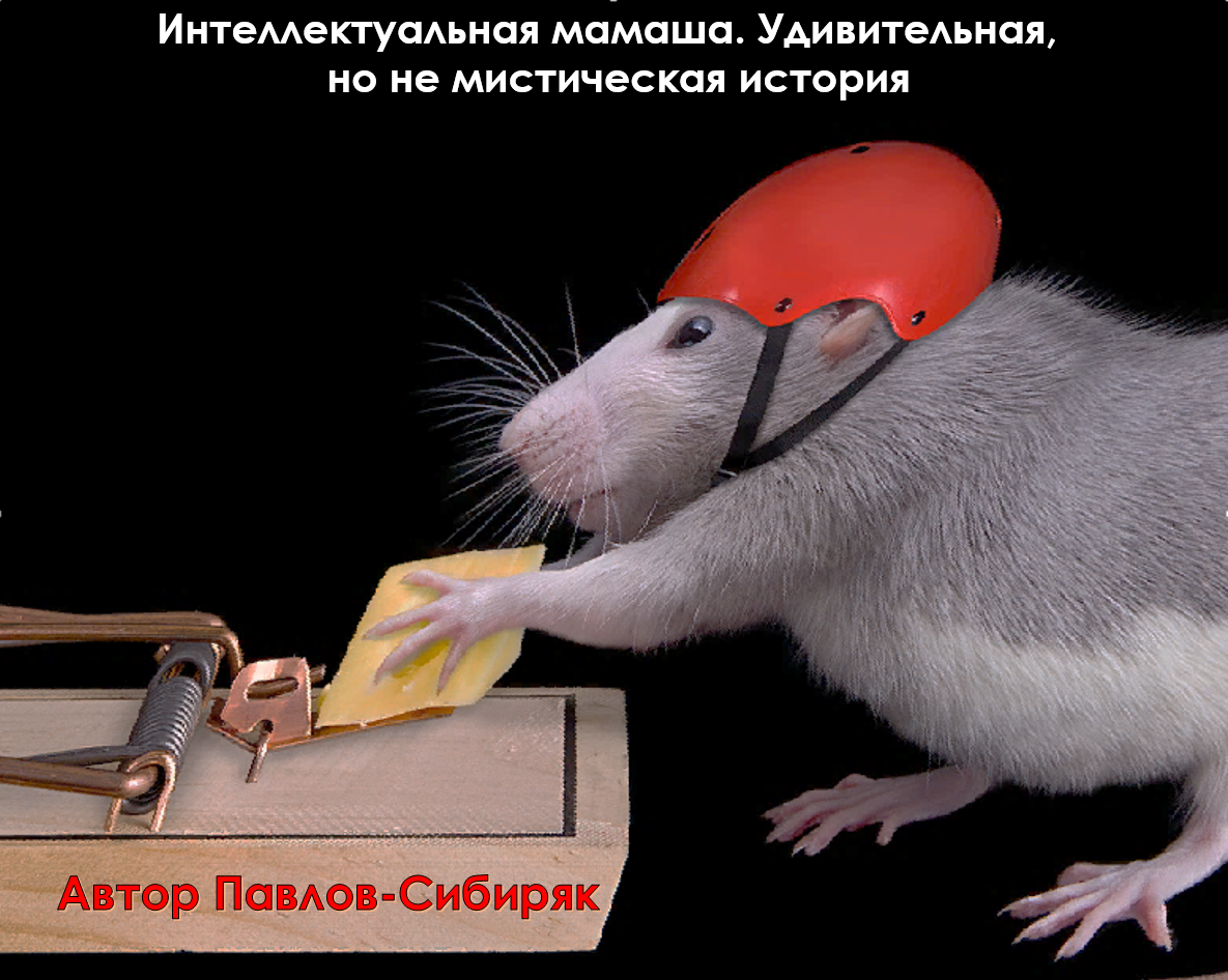 Интеллектуальная мамаша. Удивительная, но не мистическая история. Автор Павлов-Сибиряк