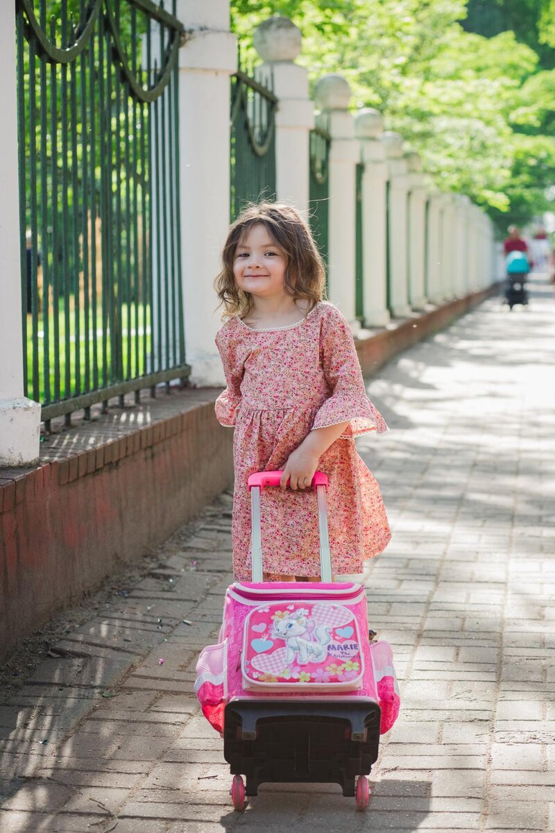 Питомник кошек и отпуск заводчика. | Записки заводчика кошек. | Дзен