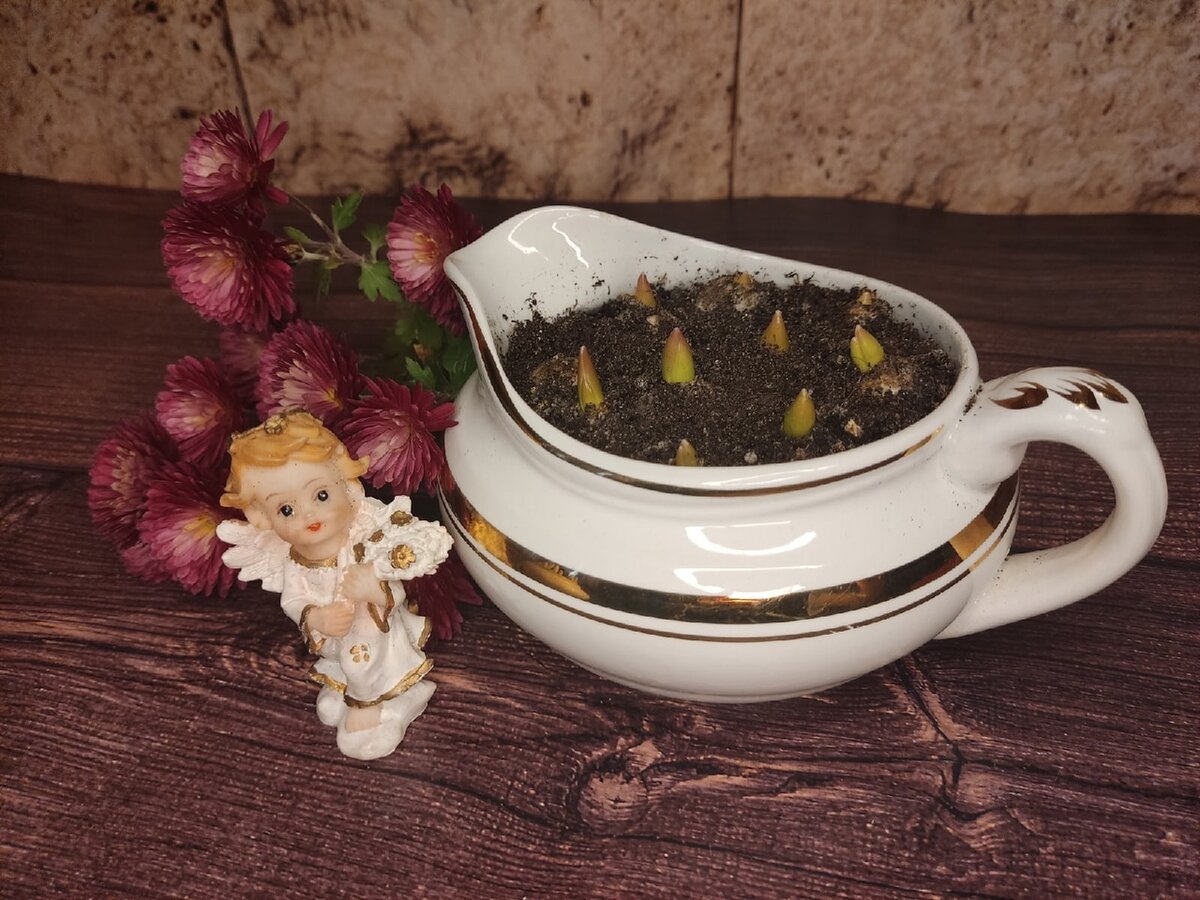 Пушкиния в конце ноября