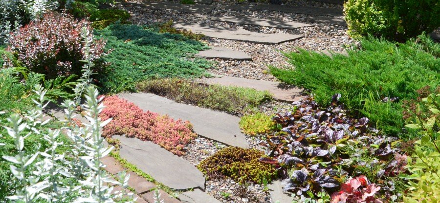 Мульчирование мелкой галькой в саду у ландшафтного дизайнера Юлии Леоновой