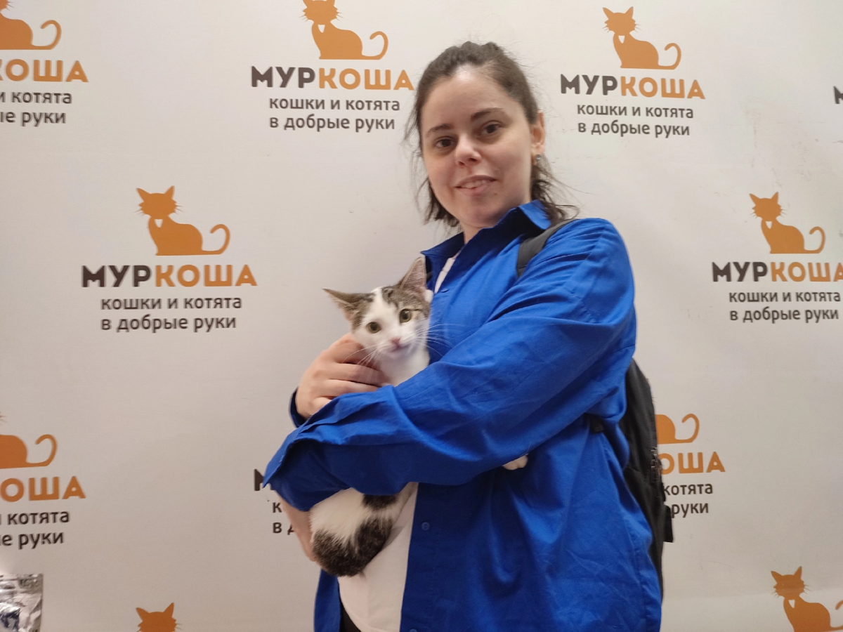 Муркоша. Adoption центр для кошек «Муркоша». Приют Муркоша.