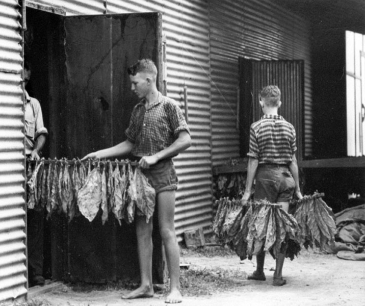 Квинсленд, 1938