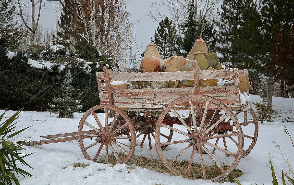 Фото из свободного доступа