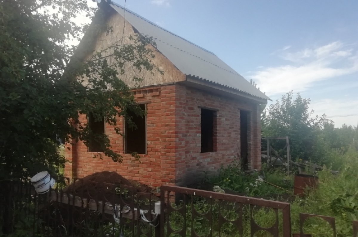    В Коми после переписки в дачном чате садовод побил соседа палкой