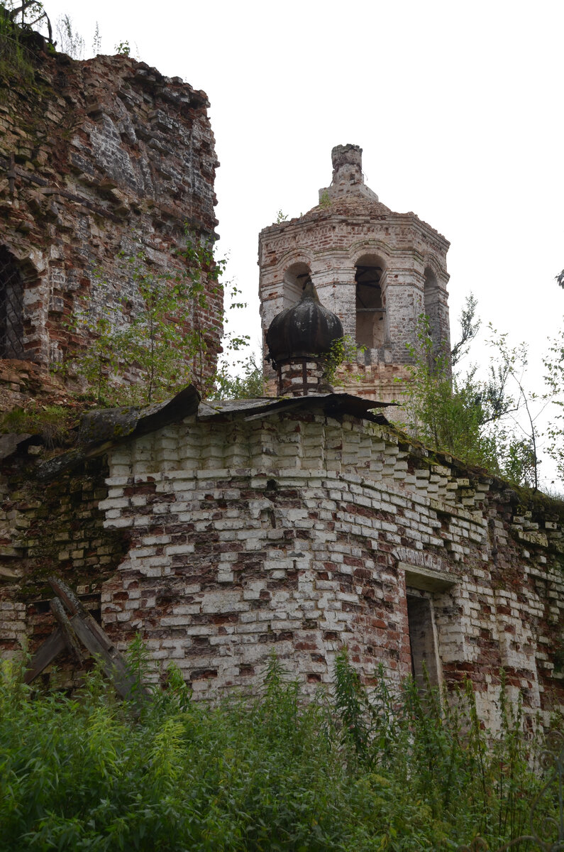 Купол придельного алтаря и колокольня Успенского собора в Добрынской пустыни. Фото 2018 г.