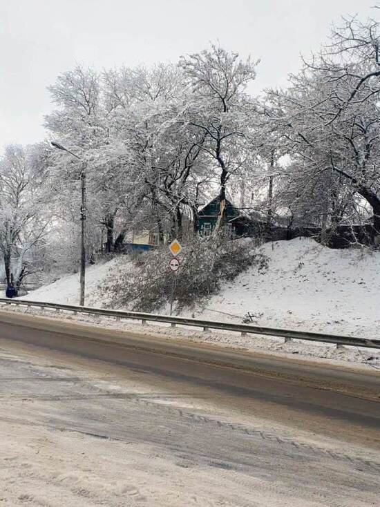     Фото: телеграм-канал «Курская область»