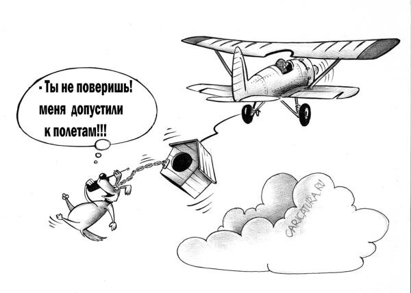 Карикатура. Автор С. Корсун, источник caricatura.ru.