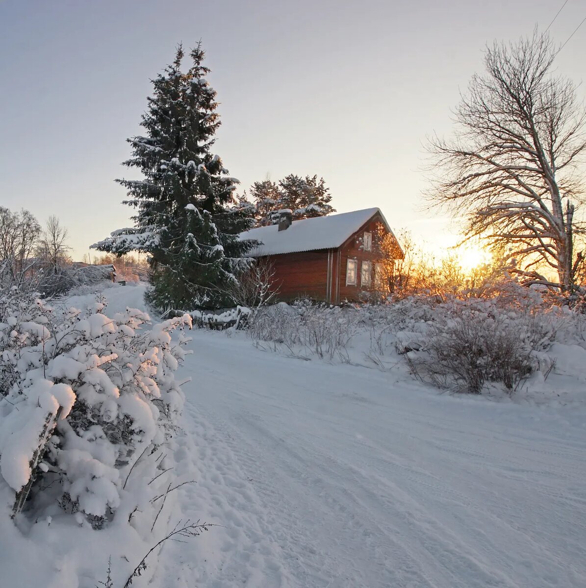 ������ �������