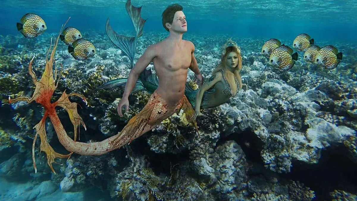 Фото: piqsels.com