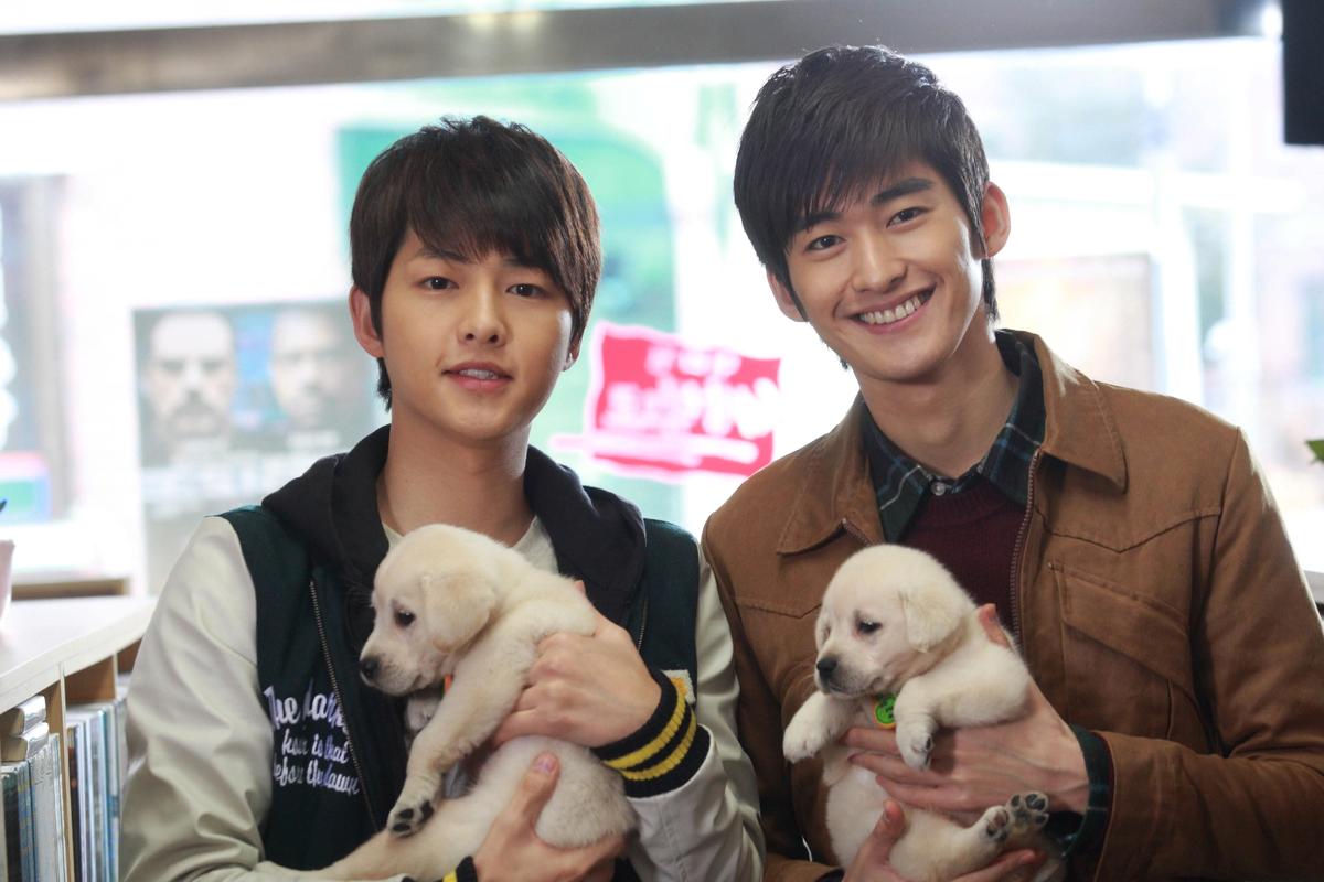 Корейцы любят собак.