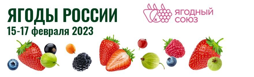 Пятая юбилейная конференция