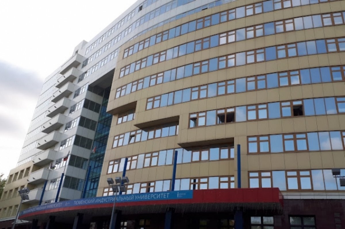    Тюменские студенты организовали пункт приема помощи для бездомных животных