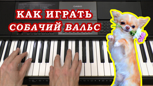 Download Video: СОБАЧИЙ ВАЛЬС 🐩 КАК ИГРАТЬ на ПИАНИНО по клавишам на СИНТЕЗАТОРЕ 🎹 Простые мелодии для начинающих