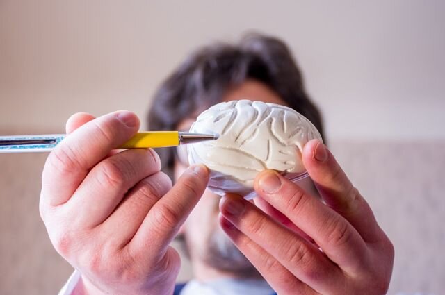 фото: Shutterstock.com