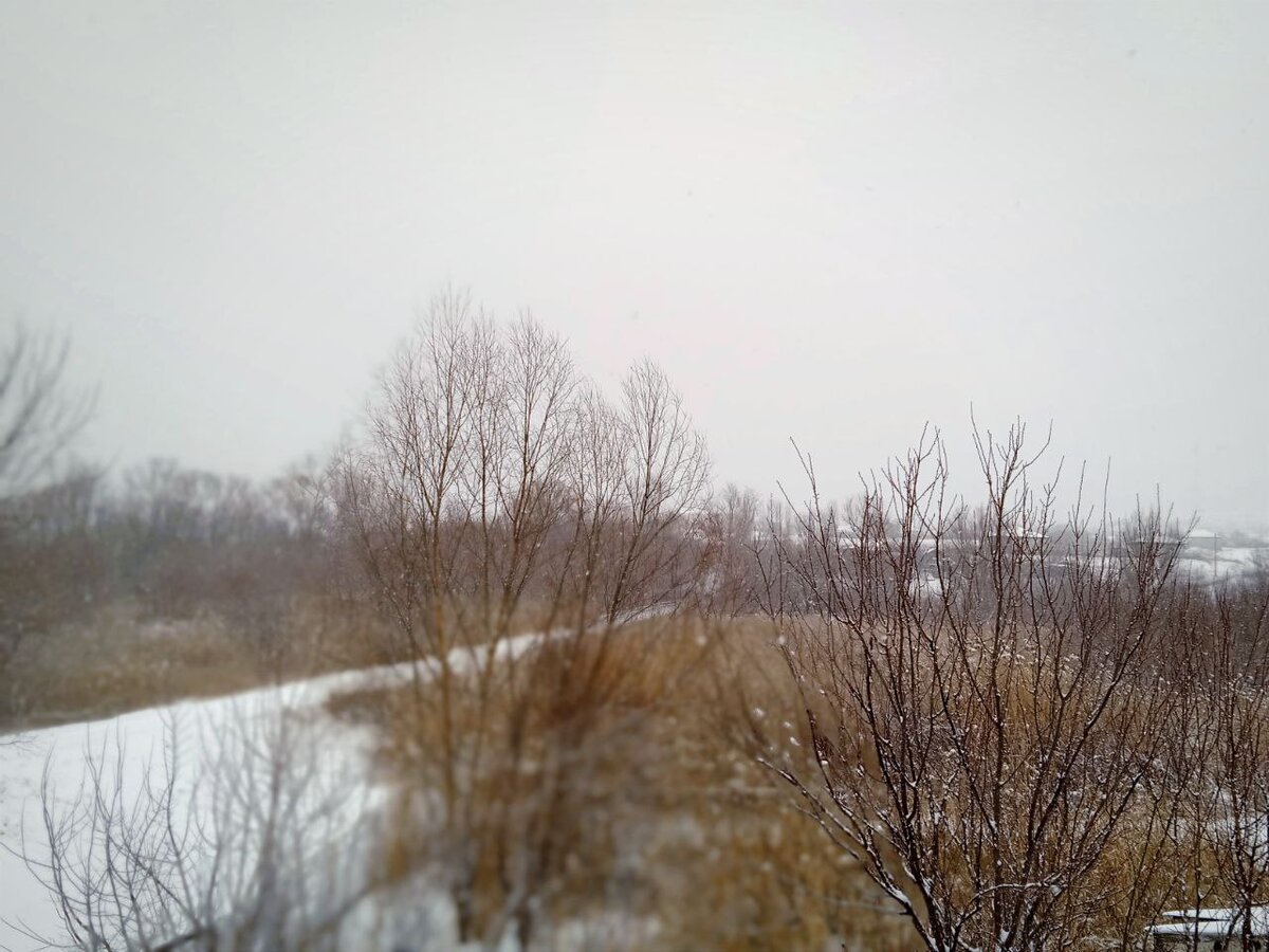 Вид из нашего окна. 