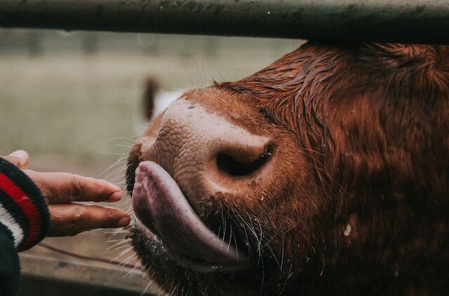 Photo by Jinen Shah on Unsplash