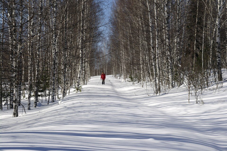     Погода 21-23 февраля 2023 в Барнауле Олег УКЛАДОВ