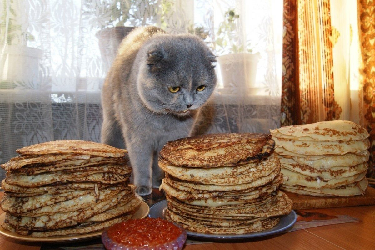иллюстрация из яндекс картинки.
