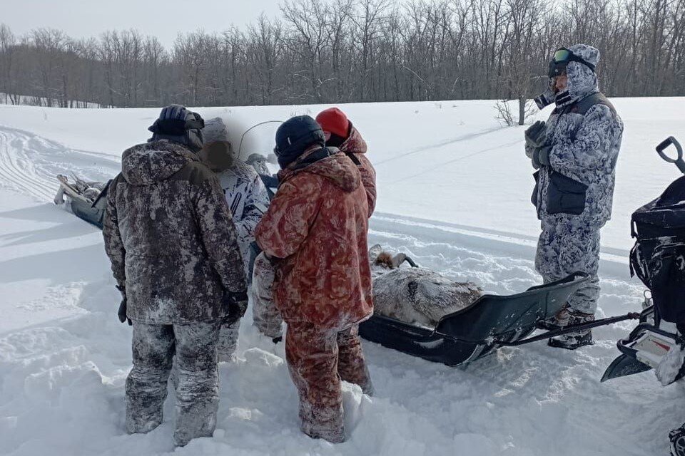     Браконьеры охотились на угодьях Башкортостана на границе с Оренбургской областью. Фото: Минэкологии Башкортостана