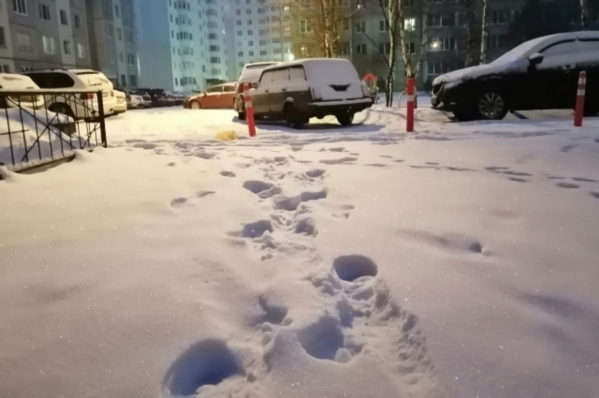    Замглаву администрации города Гусь-Хрустальный накажут за нечищенные дороги