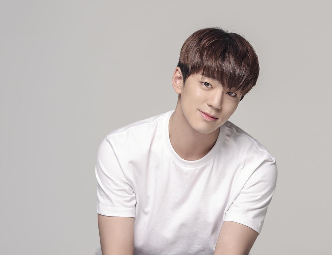 Kim Mingyu actor.