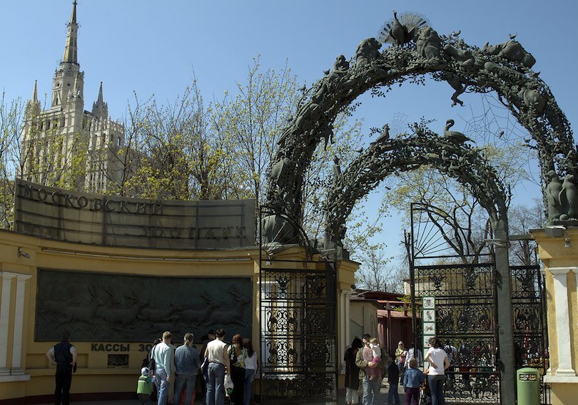 Вход в московский зоопарк фото