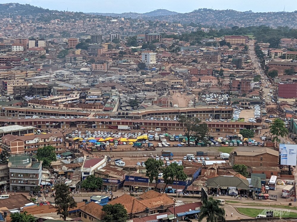    Фото:  АиФ/ Георгий Зотов