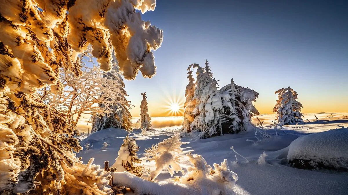 Солнце продолжает давить на Землю мощными геоударами. Фото: pxhere.com