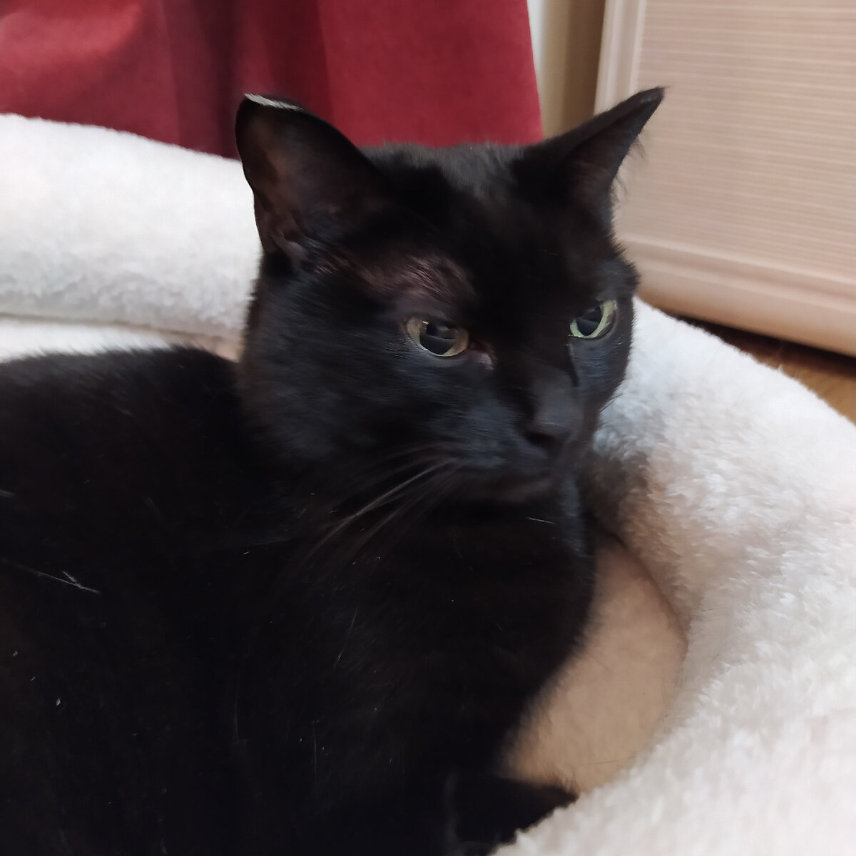 когда жизнь удалась