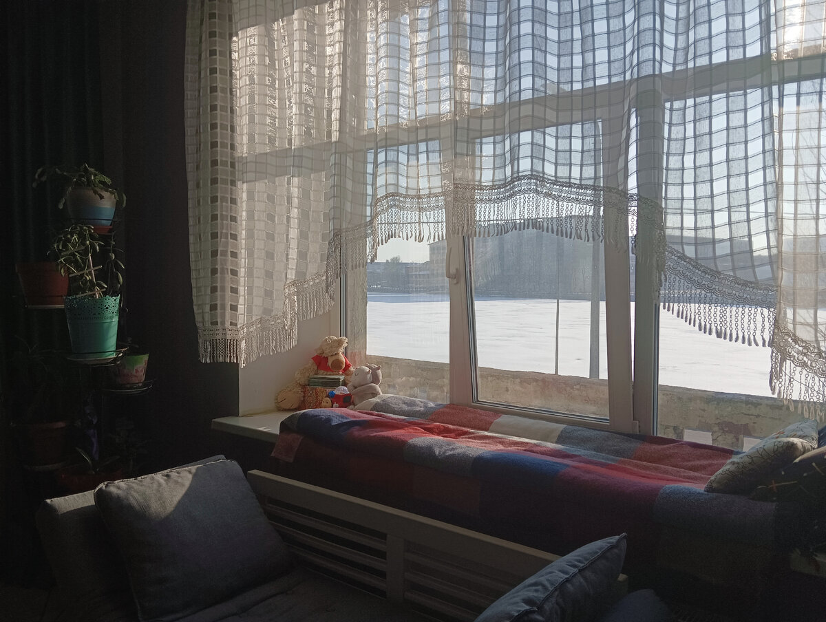 Фотографировать невозможно.)) Солнце заливает квартиру! Февраль в Питере радует. 