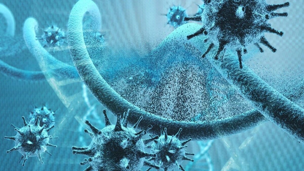 Коронавирус существует более трех лет. Фото: pxhere.com