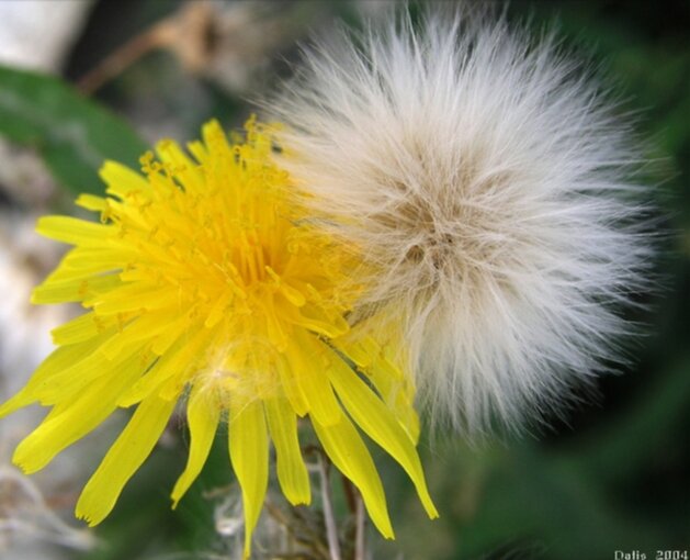 Картинка из инета 