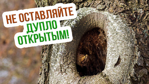 Как ловко и эффективно замаскировать неприятный пробел в деревянной поверхности