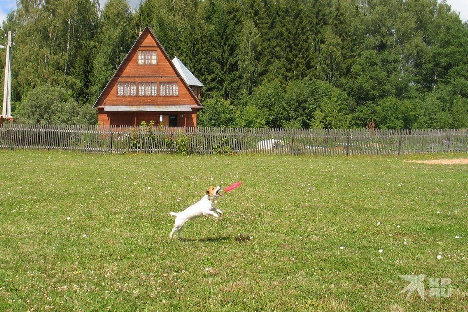     Наследникам двух земельных участков нужно в течение месяца обратиться в мэрию Рязани. Иван ПРОХОРОВ