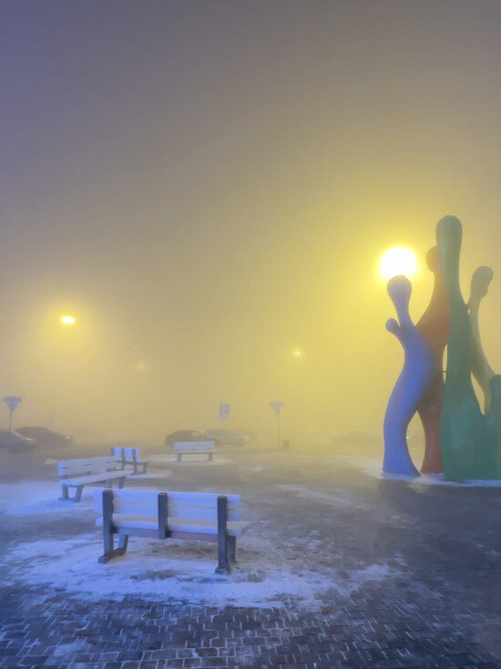     Фото: МК в Кузбассе