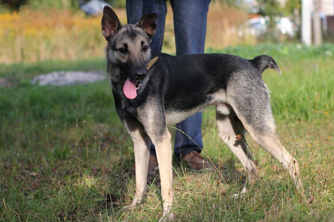 Фото автора истории. Тихон.