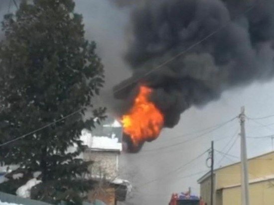     Фото: Зональненского сельского поселения