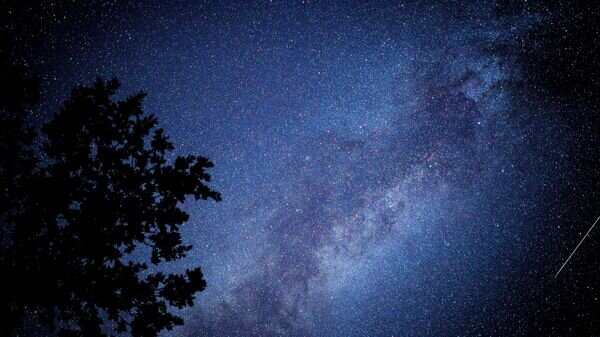    © photo: Sputnik / Vitaly Timkiv