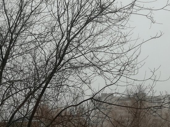     Сильная метель разыгралась и в областном центре / Елена Анифатьева