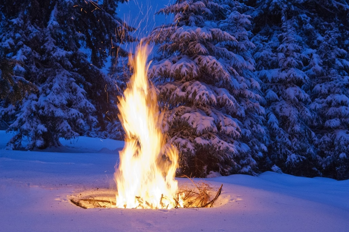 Картинки Яндекс