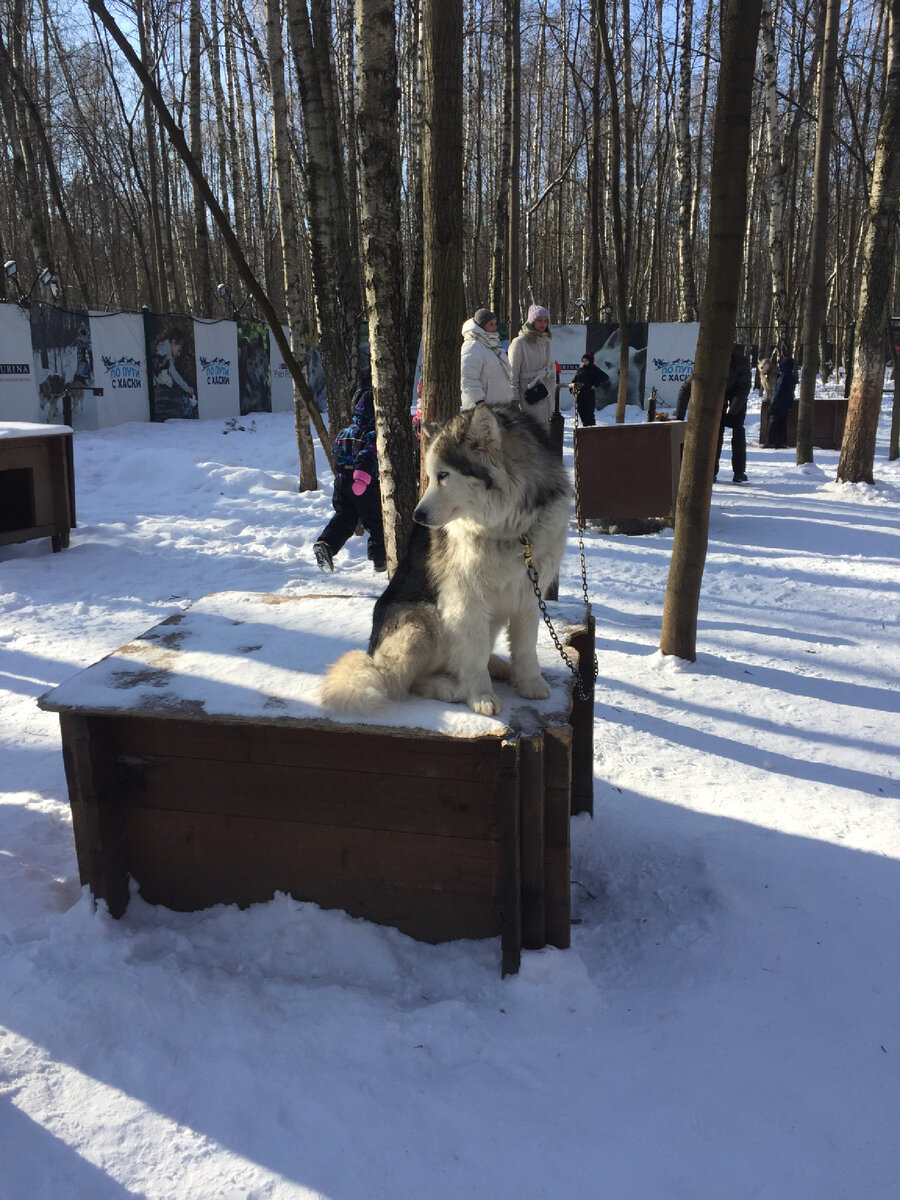 Фото автора 