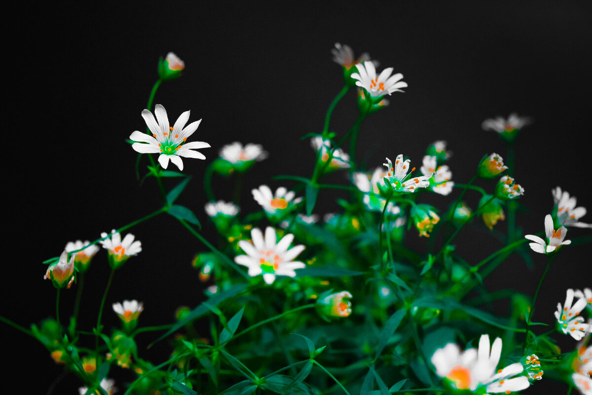 фото с сайта https://unsplash.com/
